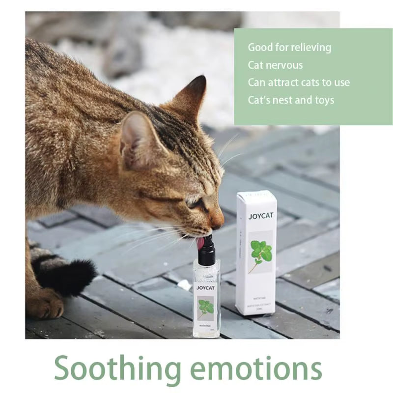 Catnip Bliss Spray – Natural Mood Booster for Happy, Relaxed Cats